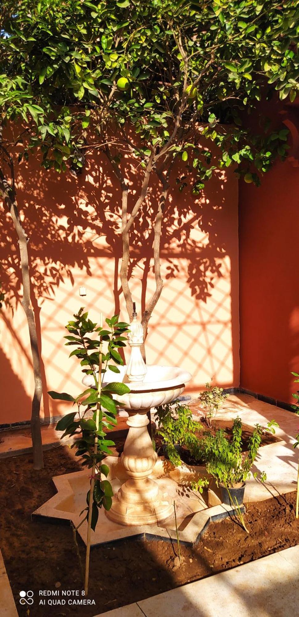 Maison D'Hotes Le Petit Jardin Marrakech Marraquexe Exterior foto